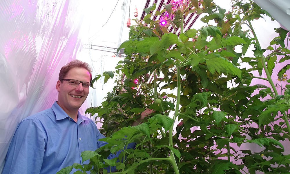 ‘Geen kasdek zonder diffuus glas, waar ook ter wereld’