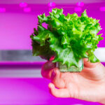 Vertical farming prominent aanwezig op GreenTech 2016