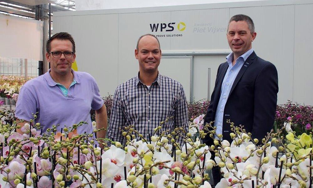 Piet Vijverberg in zijn phalaenopsis kwekerij