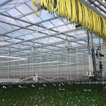 Meten van plantweerbaarheid komt dichterbij. Uit onderzoek blijkt dat bepalen van de gehaltes afweerstoffen geen goede indicatie geeft.