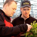 Timmermans (l) tegen Van der Sanden: “Bladmeststof zorgt voor gezonde, compacte planten.”