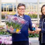 Phalaenopsiskwekerij SO natural innoveert met als doel de houdbaarheid van haar planten in de keten te verbeteren én uitval in het winkelschap te voorkomen.