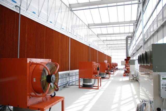 tuinbouw, innovatie, glastuinbouw, technologie, techniek, hightech, leverancier, Hoogendoorn, klimaatcomputer, vleestomaten, onderzoek, project, Japan, IHG, Innovative GreenHouse, semi-gesloten kas, schermen, buitenschermen, pad&fan-koeling, warmtepomp, verneveling, dubbellaags folie, kokosmatten