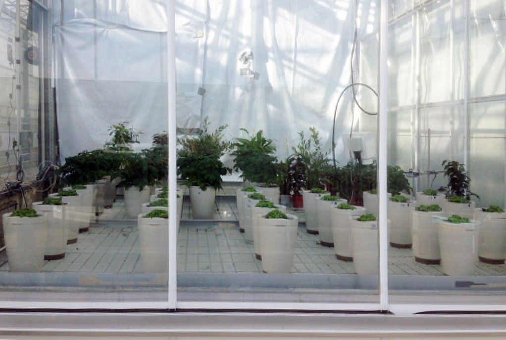 tuinbouw, industrie, glastuinbouw, onderzoek, innovatie, zelf-watergevende pot, Parrot Pot, smart plant sensor, Wageningen UR, Parrot Flower Power