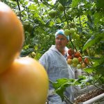 ‘Uitdaging om groeizame Merlice in bedwang te houden’