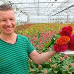 Celosiateler Gert-Jan Klop uit Brakel.