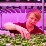 The cultivation of crops in the city, or Urban Farming, is beginning to arouse increasing interest worldwide.