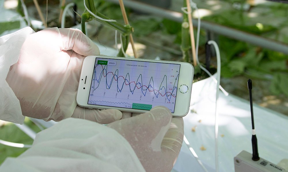 smartphone met watergeefapp van Grodan.