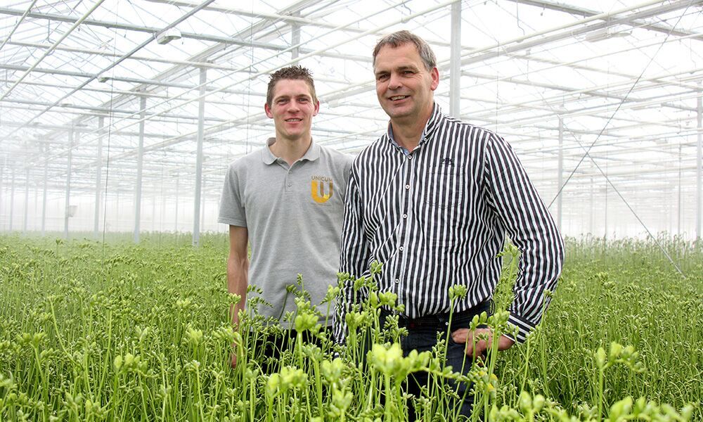 Freesiatelers Peter en Pieter Hofland besteden veel aandacht aan een optimale klimaatbeheersing.