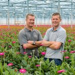 Zwethco heeft het afgelopen jaar de structuur en werkwijze aangepast. Dat was ingegeven door de financiële positie waarin het bedrijf verkeerde.