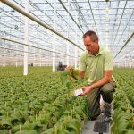 Om aan de steeds strengere regelgeving en aan specifieke klanteisen te voldoen, wordt optimale benutting van grondstoffen steeds belangrijker.