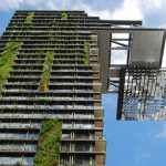 Het toenemende gebruik van levend groen bij het bouwen en ontwerpen van gebouwen brengt kansen met zich mee voor de tuinbouw.