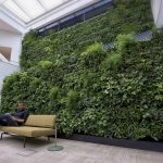 Luchtzuiveringssysteem met planten van Cloud Garden genomineerd voor innovatieprijs