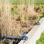 waterzuivering tuinbouw