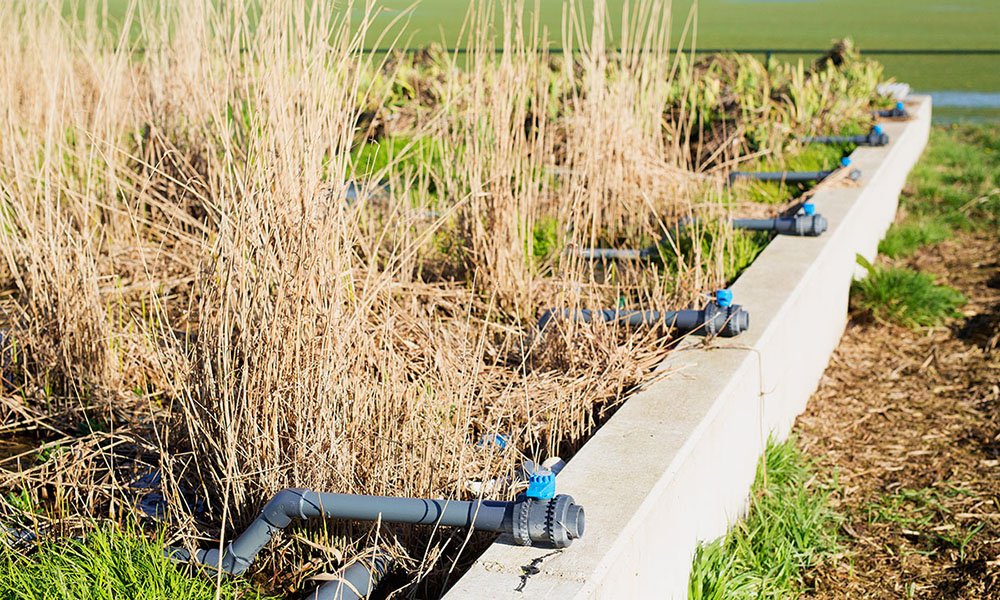 waterzuivering tuinbouw
