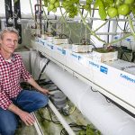 Op weg naar een klimaatneutrale glastuinbouw is het terugwinnen van warmte uit ventilatielucht voor ontvochtiging een interessante optie.