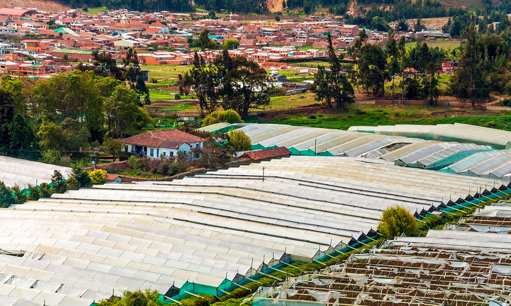 Tuinbouw in Colombia