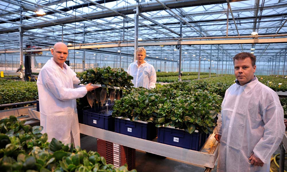 Kalanchoëveredelaar Stefan Slijkerman uit Heerhugowaard is eind vorig jaar een proef gestart om een betere voorraadbemesting voor zijn planten te realiseren.
