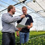 Een nieuw diffuus klimaatscherm geeft, vergeleken met de klassieke variant, 32% meer licht voor delen van het gewas in de schaduw van de kasconstructie.