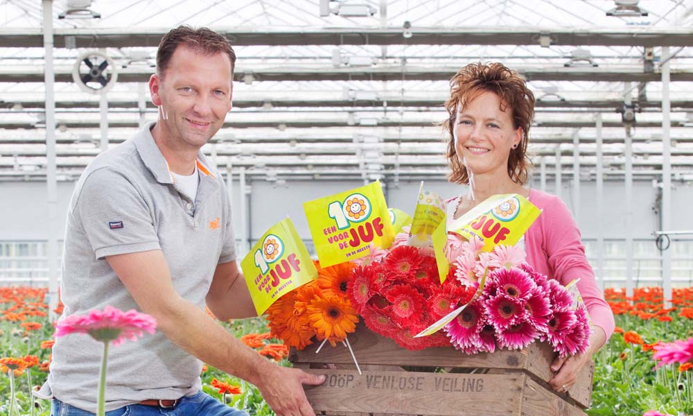‘Wat roos is voor Valentijn, kan gerbera zijn voor dag van leerkracht’