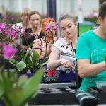 Verzuim in agrarische en groene sector stijgt