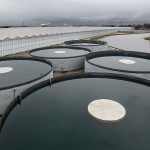 Silo's waarin water is opgeslagen