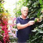 Onderzoekers laten model van ideale plant functioneren in fictieve kas