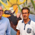 Samenwerking tussen gespecialiseerde leveranciers en onderzoekers heeft geleid tot de literatuurstudie ‘Bloei, bestuiving en vruchtzetting van tomaten’.