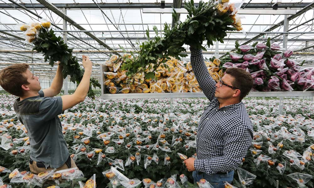 Willen familiebedrijven deel blijven uitmaken van de toekomst, dan zal hun organisatie mee moeten groeien. Capaciteiten moeten centraal staan.