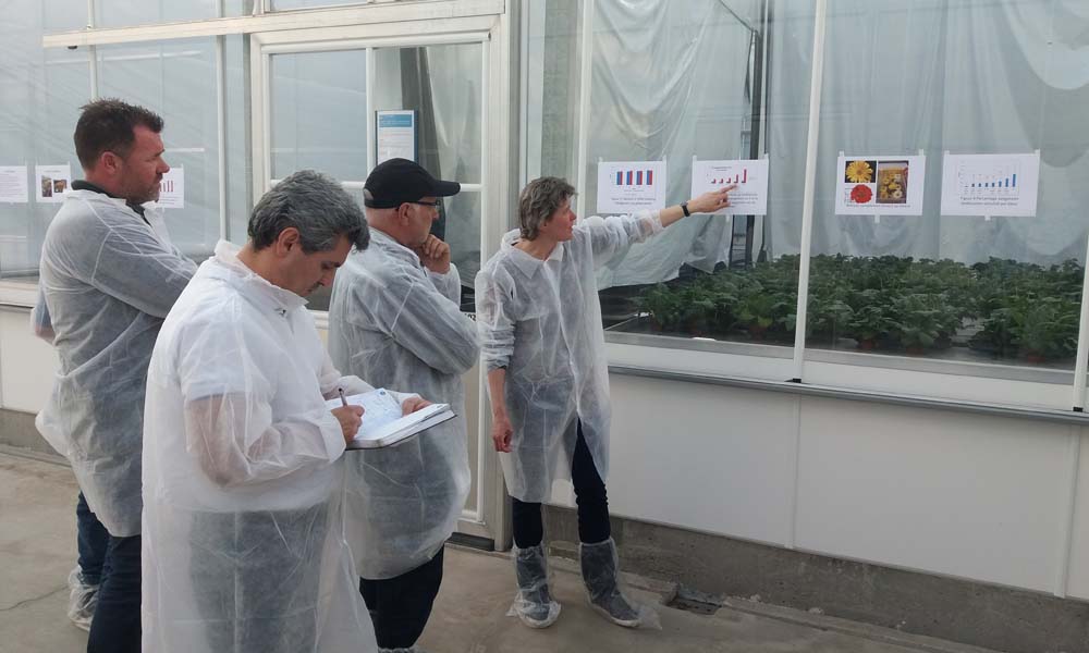 Binnen het project Duurzame teeltstrategie hebben we een inventarisatie uitgevoerd om een systeemaanpak voor beheersing van schimmels te ontwikkelen.
