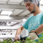 Medewerker van GrowX aan de slag in de verticale boerderij