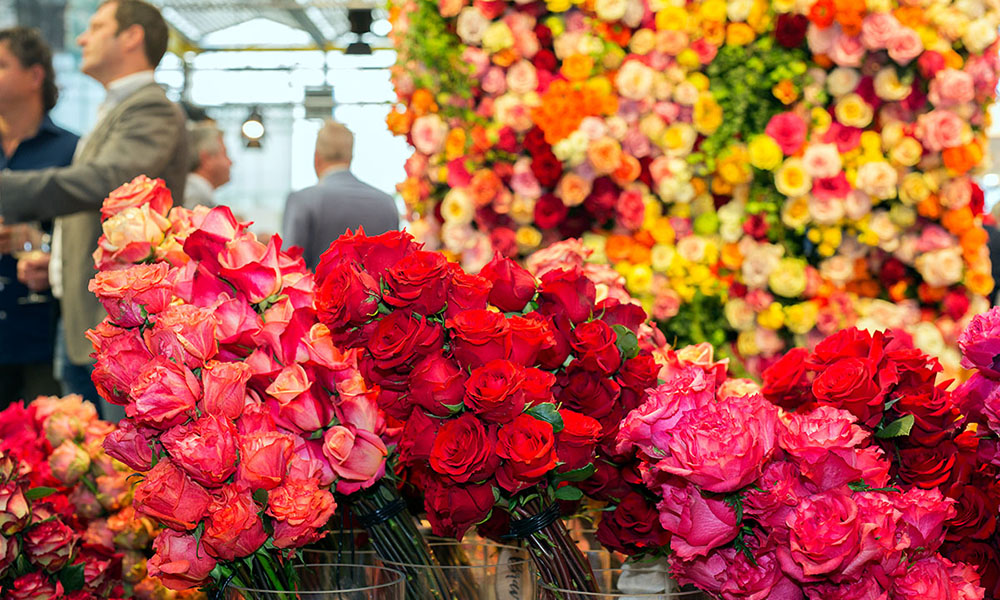 International Floriculture Trade Fair 2017 in Vijfhuizen