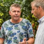 Het groeimodel is gebaseerd op praktijkervaring van telers, gecombineerd met fysiologische plantmodellen en ruwe sensordata.