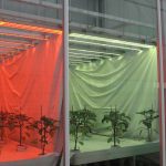 Over kansen en toepassingen wordt nagedacht in het project Denkkader Licht.