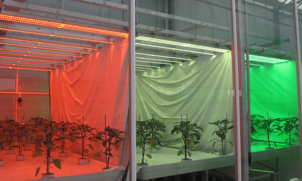 Over kansen en toepassingen wordt nagedacht in het project Denkkader Licht.