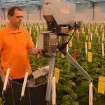 Wijnen Square Crops testte afgelopen jaar een automatische verdeler van roof- en voermijten in hogedraadkomkommers.