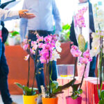 Inschrijving Orchid Inspiration Days 2018 geopend