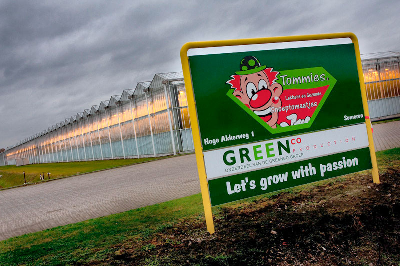 De tomatenkas van Greenco in Someren