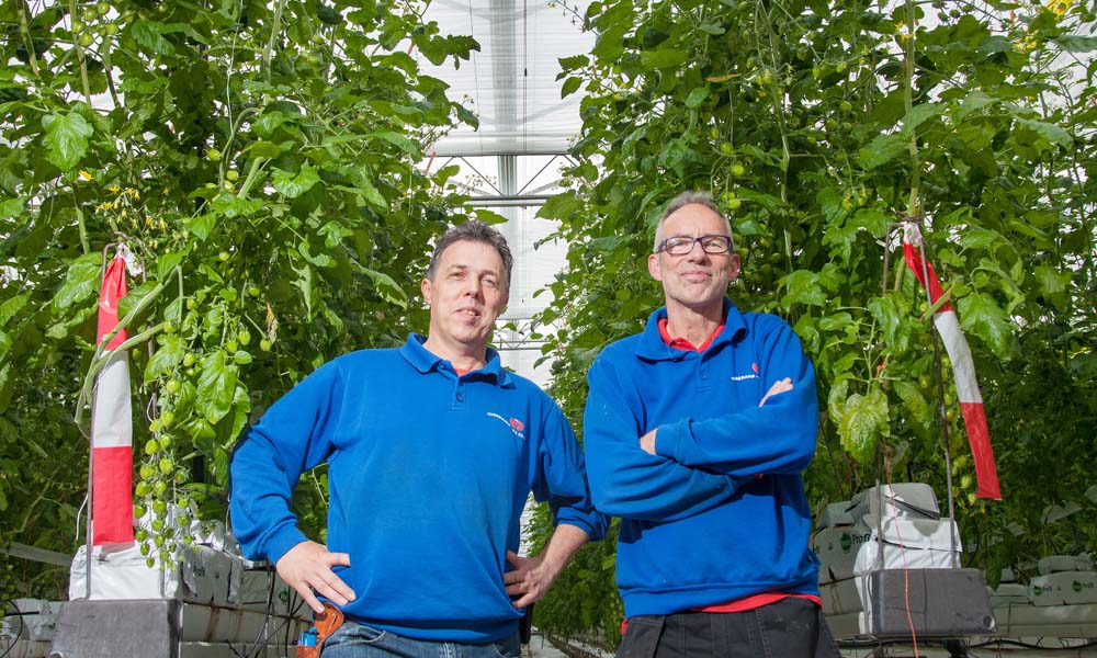 ‘Bij ons staat de plant centraal, eventuele energiebesparing is bonus’