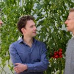 Bij big data is het de kunst om in de enorme stroom gegevens patronen te herkennen en die om te zetten in informatie, om deze vervolgens voor praktijkgebruik toepasbaar te maken. Verschillende partijen in de glastuinbouw zijn er druk mee bezig.