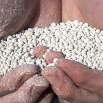 Kalk doet veel meer voor bodem dan alleen zuurgraad reguleren