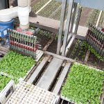 De ISO Robot Plug Planting machine maakt kans op de Greentech Innovation Award 2018 en de Greentech Impact Award 2018. De robot maakt het mogelijk om pluggen van jonge Lisianthus-planten met robotarmen direct vanuit de tray in volle grond te planten.
