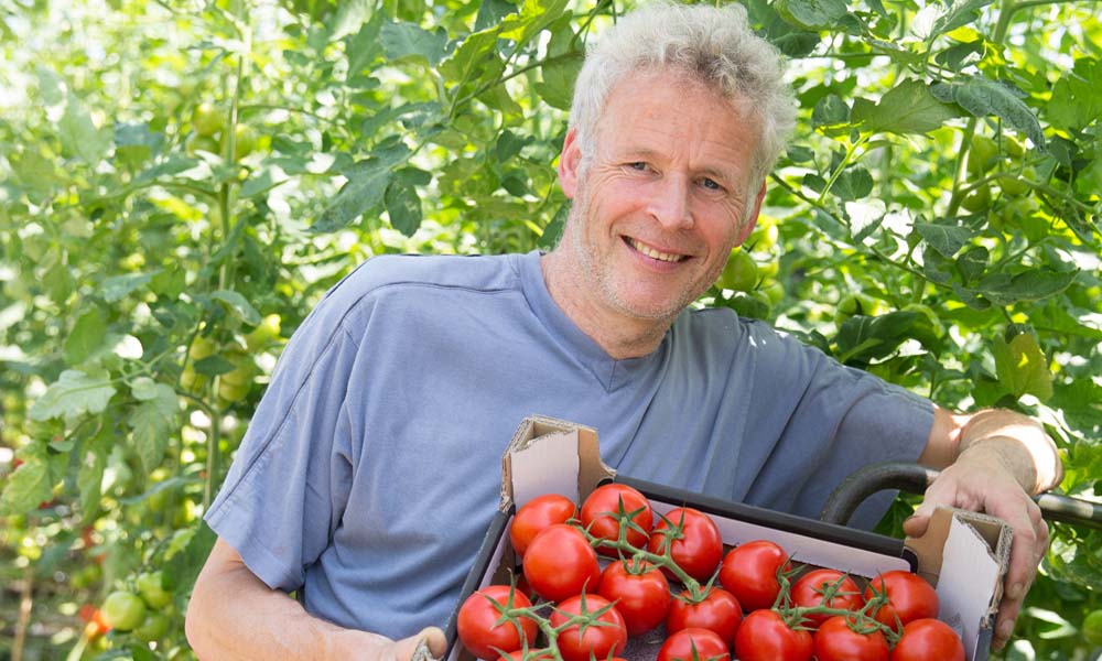 Bedrijfsuitbreiding van bestaande biologische teeltbedrijven behoort uiteraard ook tot de mogelijkheden. Een van de telers die dit spoor volgt, is Frank de Koning uit Brielle. Hij nam vorig najaar een bedrijf over van 3 ha, wat zijn totale areaal op 11,5 ha bracht.