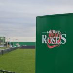 Van den Berg RoseS en Van der Drift Roses gaan per 1 september 2018 een commerciële samenwerking aan. De twee rozenkwekers bundelen de krachten om de vraaggestuurde sierteeltmarkt beter te kunnen bedienen.