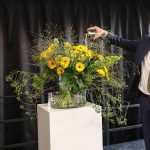 Een bijzonder moment voor de germini-telers van Colours of Nature. Woensdag 5 september oogstte en doopte Frits van Eerd, CEO van Jumbo Supermarkten, op het bedrijf van Willem en Ruud Batist in Maasdijk de eerste Jumbo Germini.