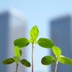 Dutch Greenhouse Delta officieel gelanceerd