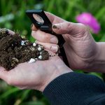 Relatie bodemleven, biostimulanten en gewasreactie is uitdagend proces