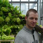Stevigheid plant: samenspel silicium, celspanning en inhoudsstoffen