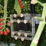 Meten bladkwaliteit met hyperspectraal sensor
