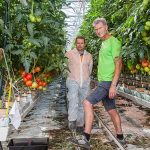 Systematisch monitoren en registreren plaaginsecten loont